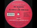 DJ Jordens vs. Flamman And Abraxas - Sarin