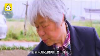 Video 68-year-old mother washes dishes and farms for 8 years, paying off debts for the dead from 一手Video·官方频道·国内时事快讯, Rugao, China