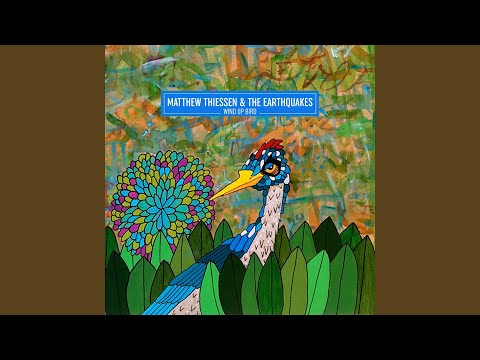 Dude Video