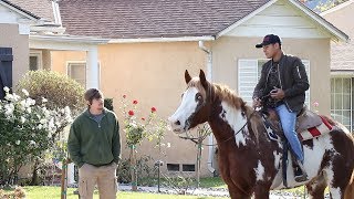 Picking up Uber Riders w/HORSE!