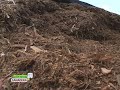 ensilaje en bolsa