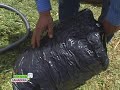 ensilaje en bolsa