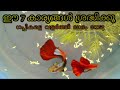 ഈ 7 കാര്യങ്ങൾ ശ്രദ്ധിക്കൂ| guppy fish breeding & caring tips| beginners guide malayalam