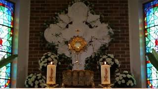 Saturday 9th May Exposition: The Dead & Anniversaries of the Deceased followed by Mass