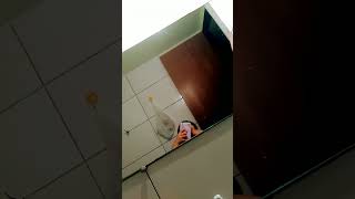 Minha Rotina Acordando