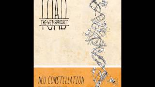 Watch Toad The Wet Sprocket New Constellation video