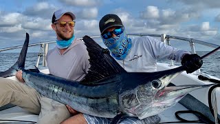 Marlin on light spinning reel