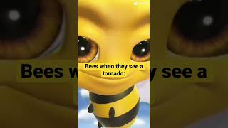 Bees When They See A Tornado