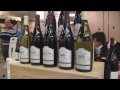 salon lyon mars 2011