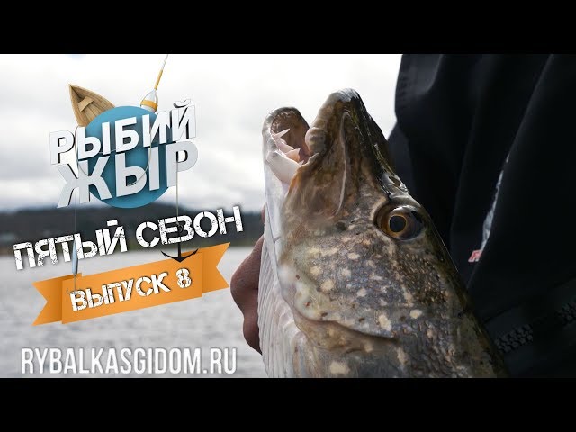 Клев трофейной щуки и рыболовные приметы, в чем связь? Рыбий жЫр 5 сезон выпуск 8