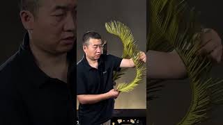 Chinese Flower Arrangement Tutorial With Driftwood And Cycad Leaves Expedition Taught