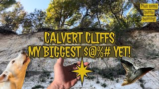 Amazing Find At Calvert Cliffs