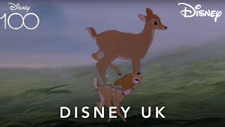 Calm Sounds In The Magical Woodlands Of Bambi For Sleep, Reading, Relaxation | Disney Uk