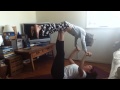 six-year-old ben in flying handstand - mini yogis yoga for kids!