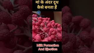 How Is Milk Produced In A Mother