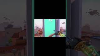 Valorant Gun Green Screen