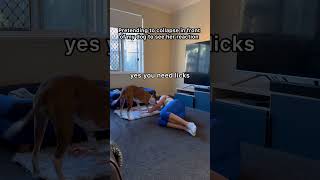 Dog Reacts When I Pretend To Collapse