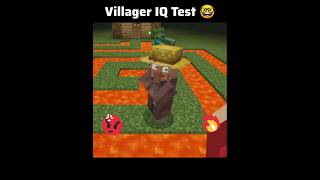 Minecraft Villager Iq Test