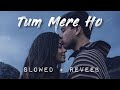 Tum Mere Ho - Lofi (Slowed + Reverb) | Jubin Nautiyal | Hate Story IV | we r lofi here