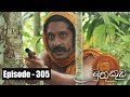 Muthu Kuda 06/04/2018 - 305