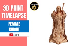 3D Printed Female Knight Timelapse