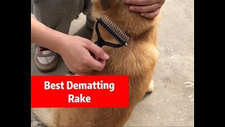 The Best Undercoat Rake Removing Float Hair Without Removing Healthy Hair