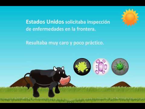 CAMPANA NACIONAL CONTRA LA TUBERCULOSIS BOVINA campana nacional contra la tuberculosis bovina: