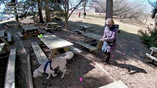 Picnic Tables Sample Video - March 7 L2E