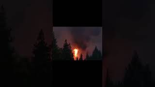 Real Dragon Caught On Camera In Japan Part2