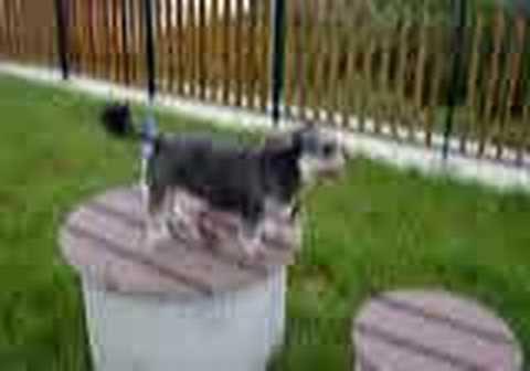 iphone 4 verizon sim card slot. Iphone+4+verizon+sim+card+