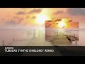 Darien J - Tubular Synths (PABLoKEY Remix) (Short Edit) [Progressive House]