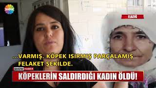 Köpeklerin saldırdığı kadın öldü!