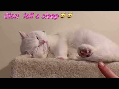 Glori is snoring