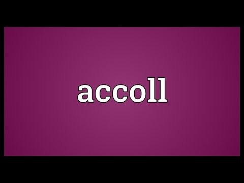 Header of Accoll