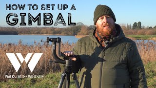 How To Set Up A Gimbal On Your Tripod. Third Most Important Piece Of Kit For Wildlife Photographers.