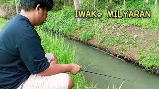 Semudah Inikah Mancing Uceng ??