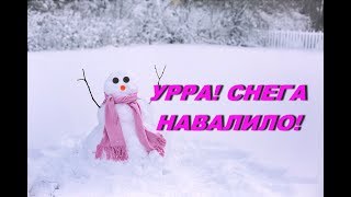 Снежное Воскресенье, Кормушка Не Пустела.snow Sunday..