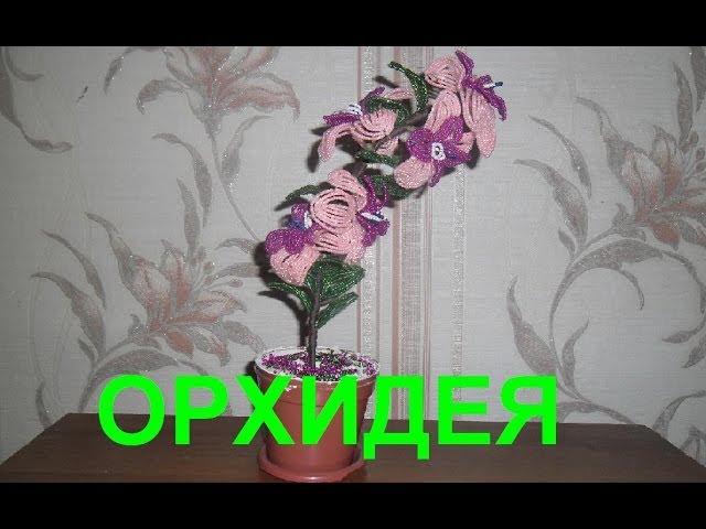 Бисероплетение видео уроки орхидея Бисероплетение видео уроки орхидея