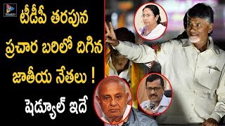 National Leaders Election Campaign For TDP Party | AP Political Updates | TFC News