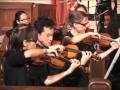 Beethoven - Overture to the Creatures of Prometheus (The Reona Ito Chamber Orchestra)