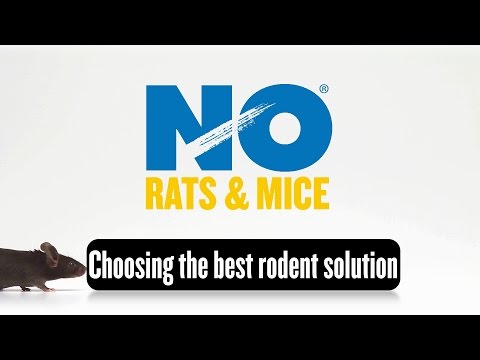 NO Rats & Mice Bait Blocks