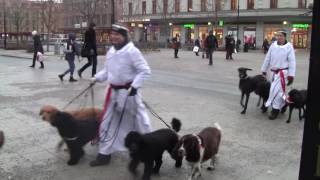 AMNIS HUNDHUS - Luciatåg 2016!