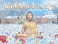 Buddha bar vol XV -  Uttara Kuru - Neyuki 2013