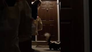 She Thought It Was A Cat But It Was A Skunk 냄새 폭탄에 K.o. 당한 집주인 猫だと思ったらスカンクだった