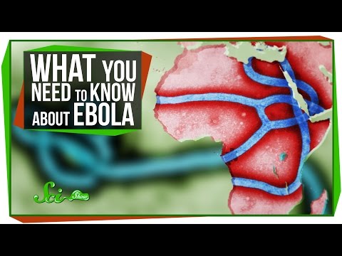 What You Need to Know About Ebola