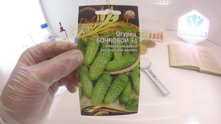 Огурец Бочковой F1. Ваше Хозяйство