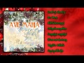 Ave Maria ~ Karácsonyi válogatás (teljes album)