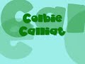 Realize - Colbi Calliat [song && lyrics]