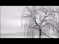 Stefan Biniak - Winterpodcast 02 - 2020