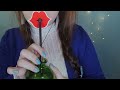 Asmr Asmr